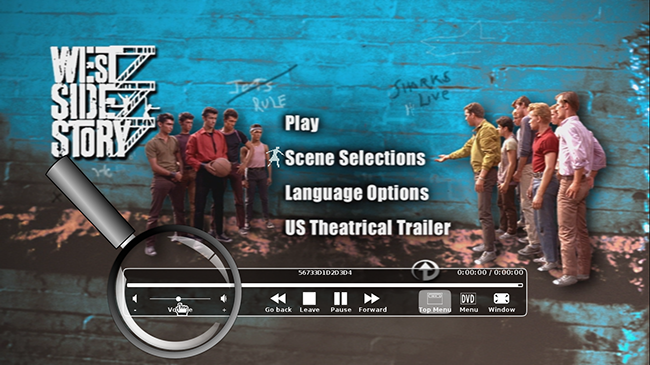 DVD menu and volume